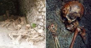 Skeletons In Herculaneum Featured