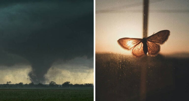 The Butterfly People Of The Joplin Tornado