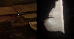 Tunnel Under Northern Arizona University Featured