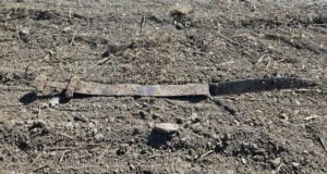 Viking Age Sword In Field Featured