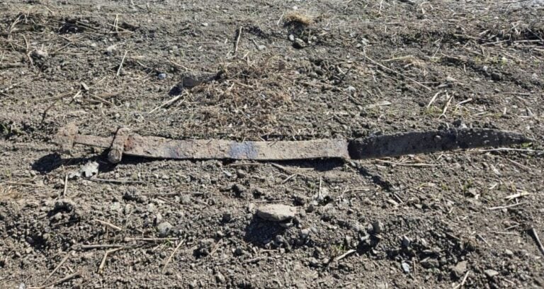 Viking Age Sword In Field Featured