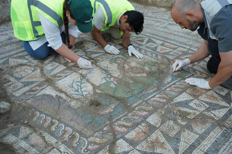 Ancient Mosaic Found In Aspendos