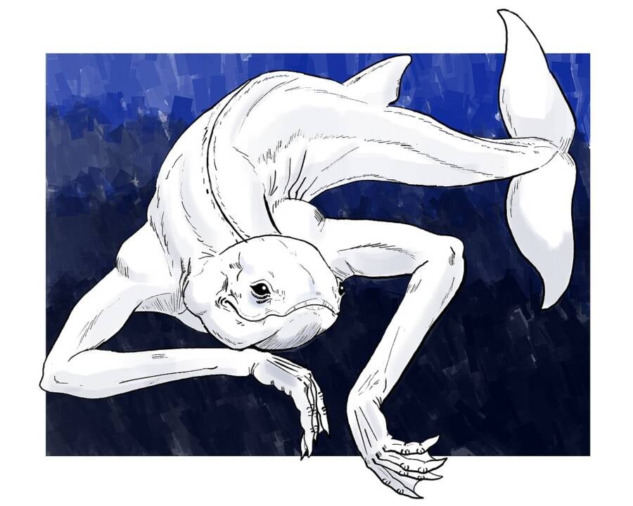 Artists Depiction Of The Ningen