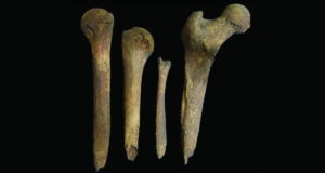 Featured Iron Age Bones