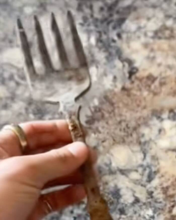 Fork Found In Montana