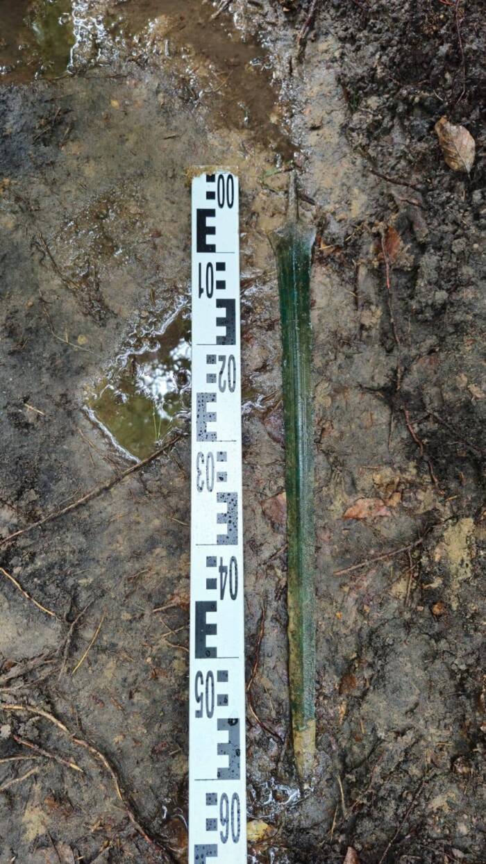 Sword Found In Polish Forest