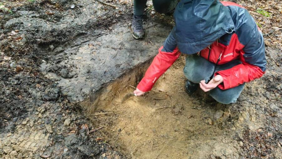 Ancient Sword Found Upright In Poland