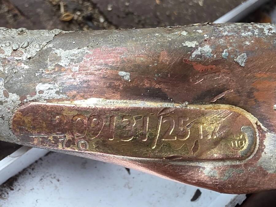 Berry Picker Found Plane Wreck In Poland