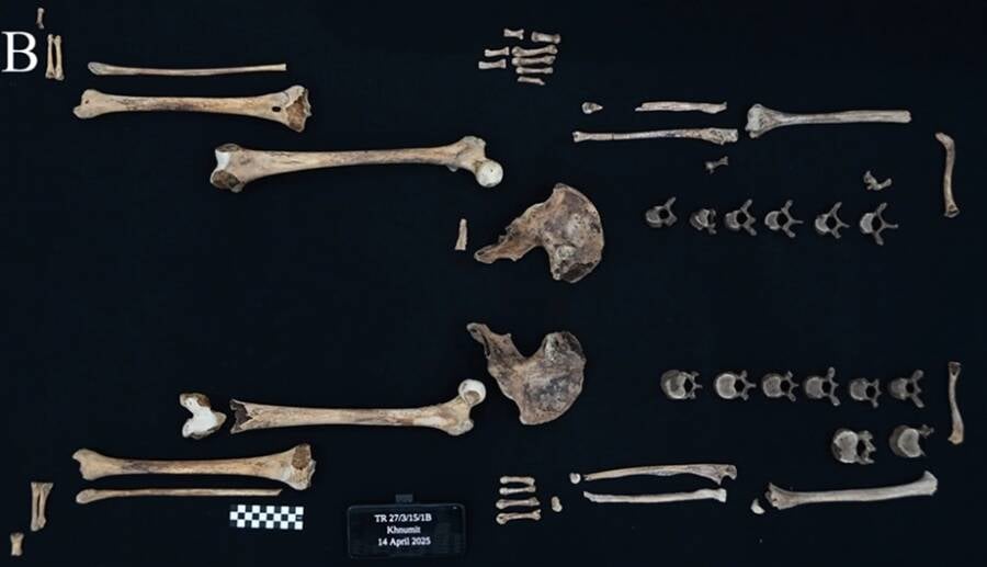 Bones Of Ancient Egyptian Princess