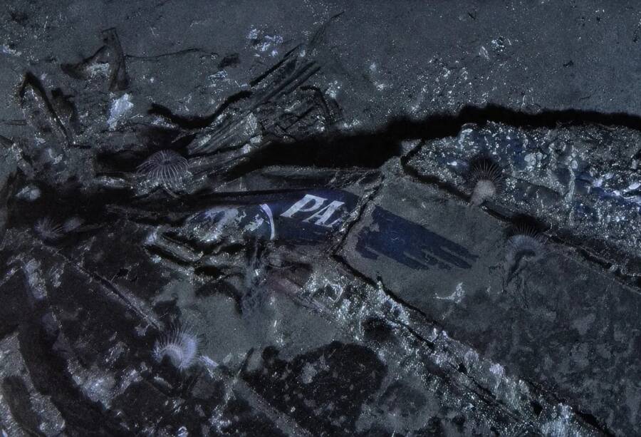 Clipper Endeavor Wreckage Found