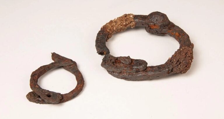 Featured Iron Shackles Found In France