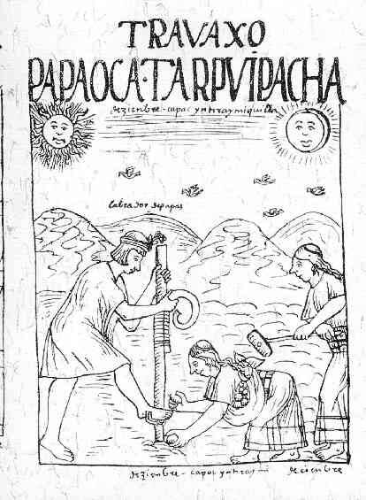 Inca Agriculture