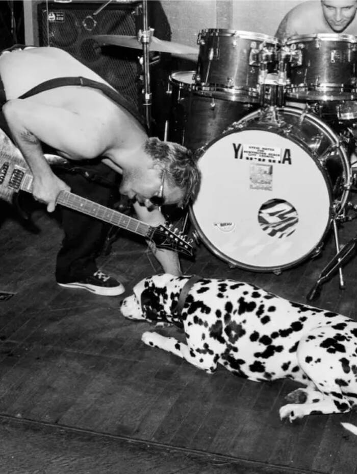 Lou Dog