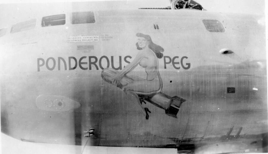 Ponderous Peg Nose Art