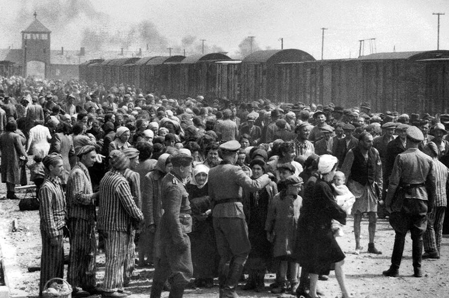 The Unimaginable Reality Of Everyday Life At Auschwitz Concentration Camp