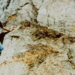 Sue the T. rex: the fossil that became a courtroom drama about land, law, and who owns the past