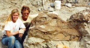 Sue The T Rex Skull Featured