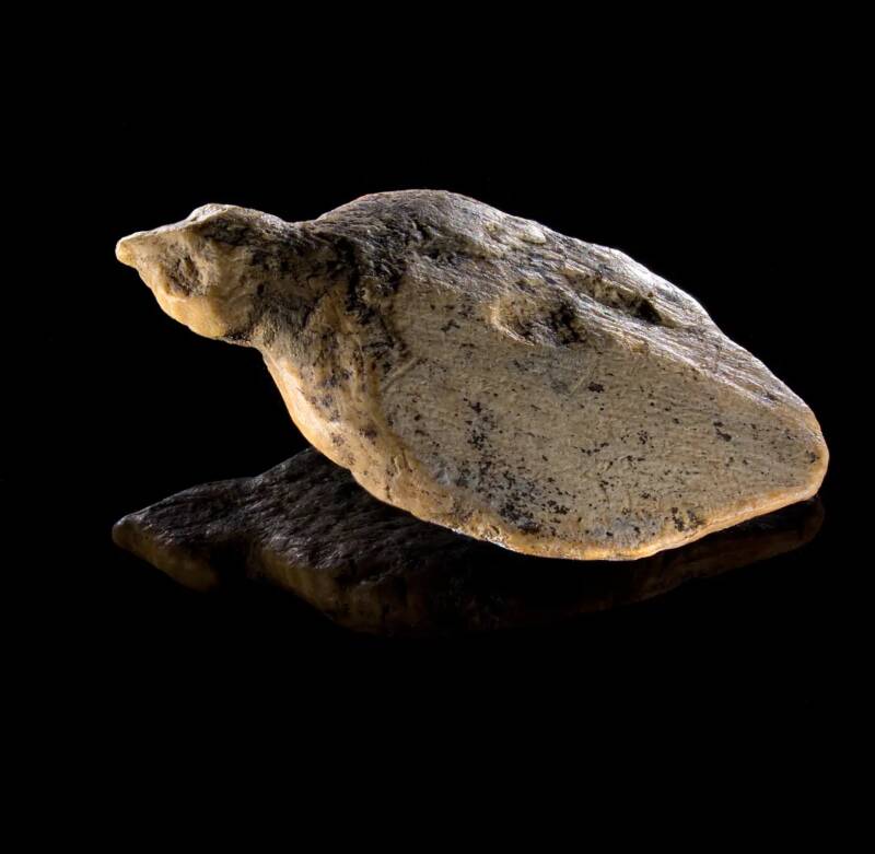 Prehistoric Bird Figurines From Hohle Fels Cave