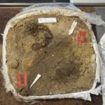 A Viking Girl’s Grave Kept Her Clothes Alive for 1,300 Years