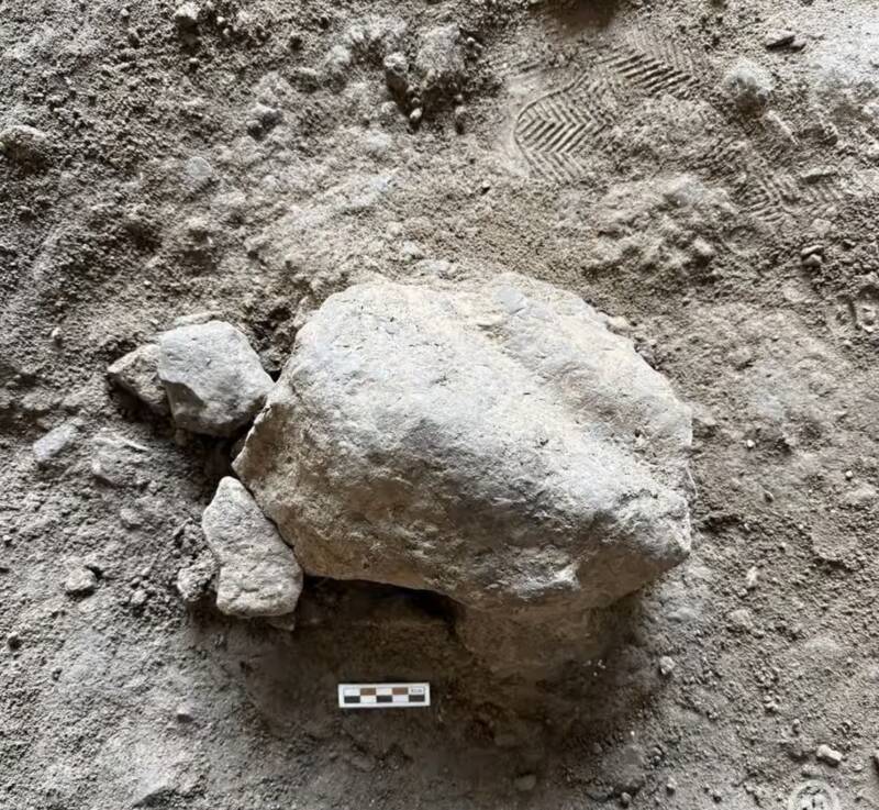 Prehistoric Turtle Figurines Found In Turkey