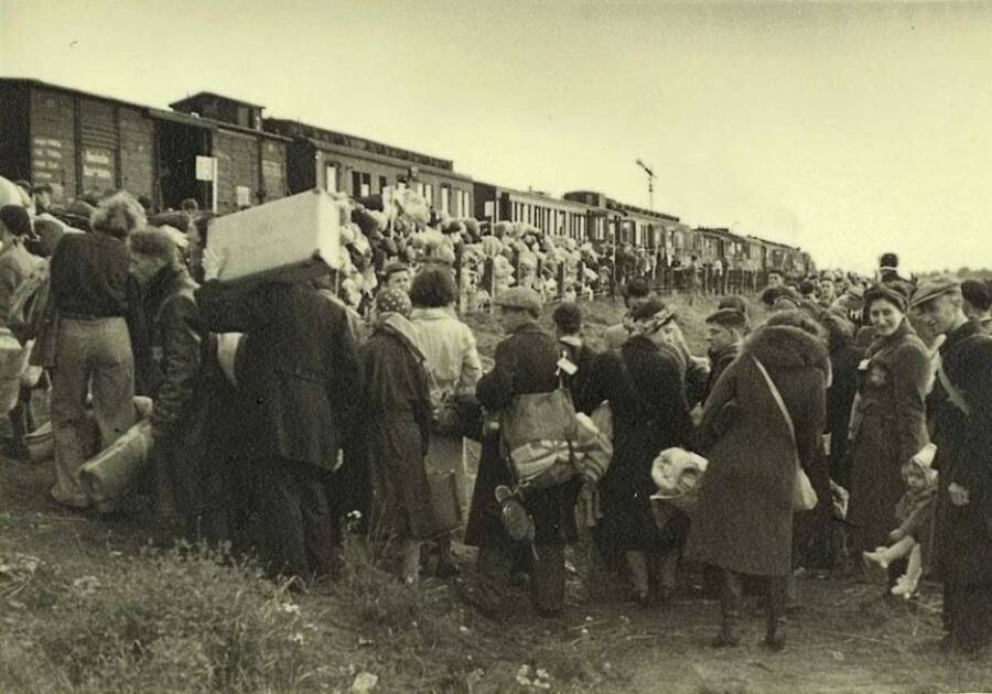 Auschwitz Deportation Train
