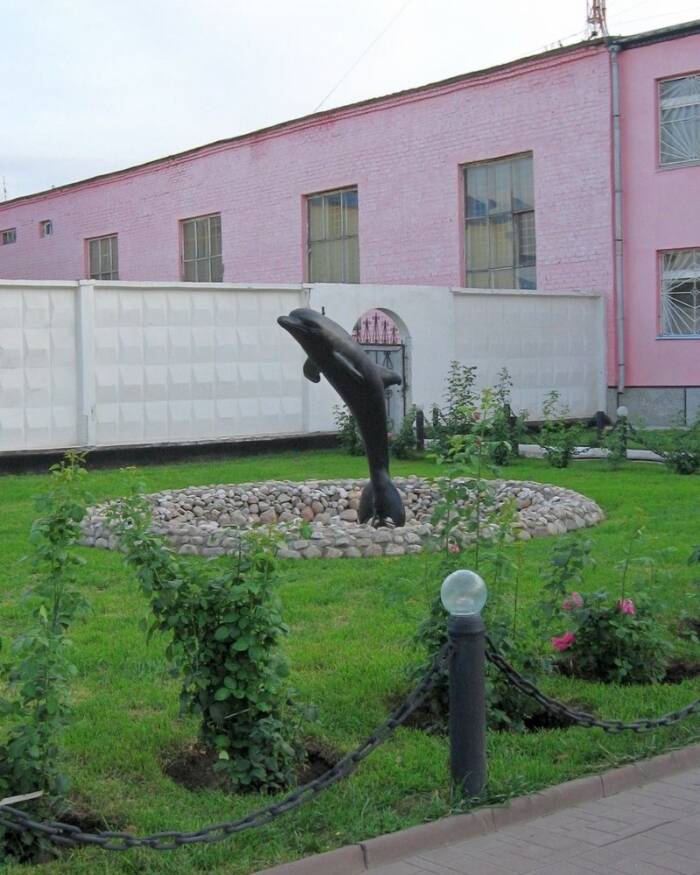 Black Dolphin Prison Russia