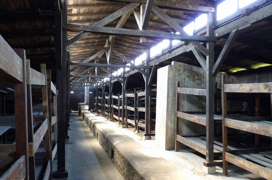 Bunk Beds At Auschwitz