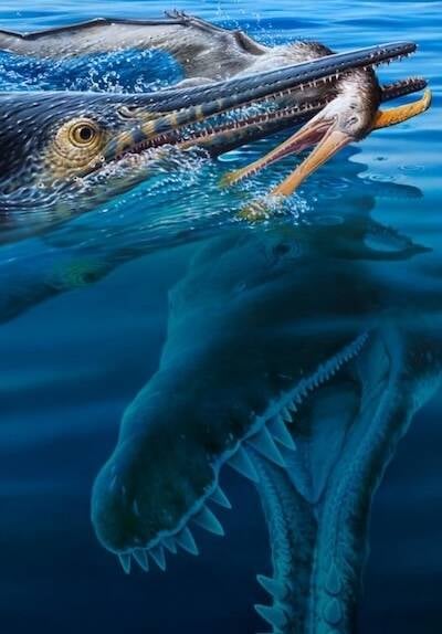 Cretaceous Fossil Pterosaur Ichthyosaur Pliosaur