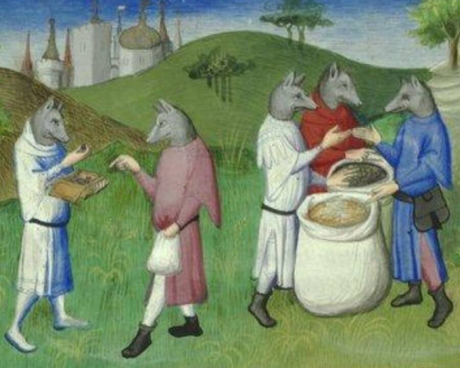 Cynocephali As Described By Marco Polo