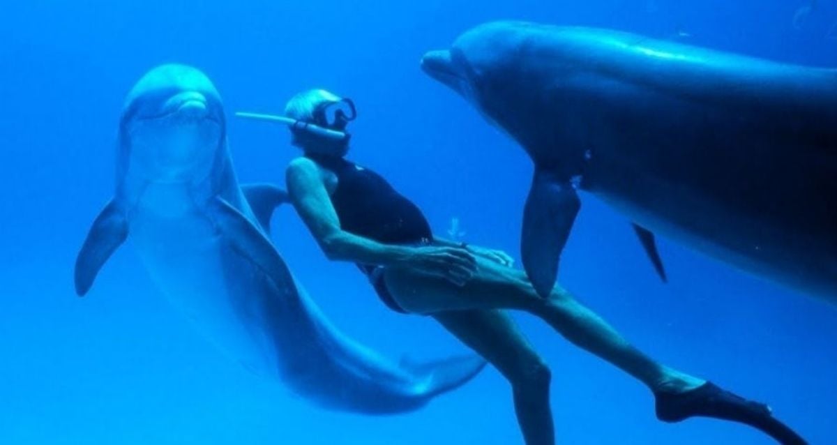 The Incredible Life Of Jacques Mayol, The Record-Breaking Freediver Known As The 'Dolphin Man'