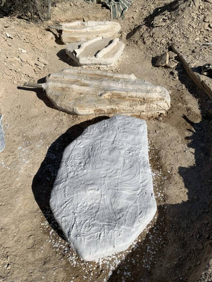 Cretaceous Fossils From Richmond Australia