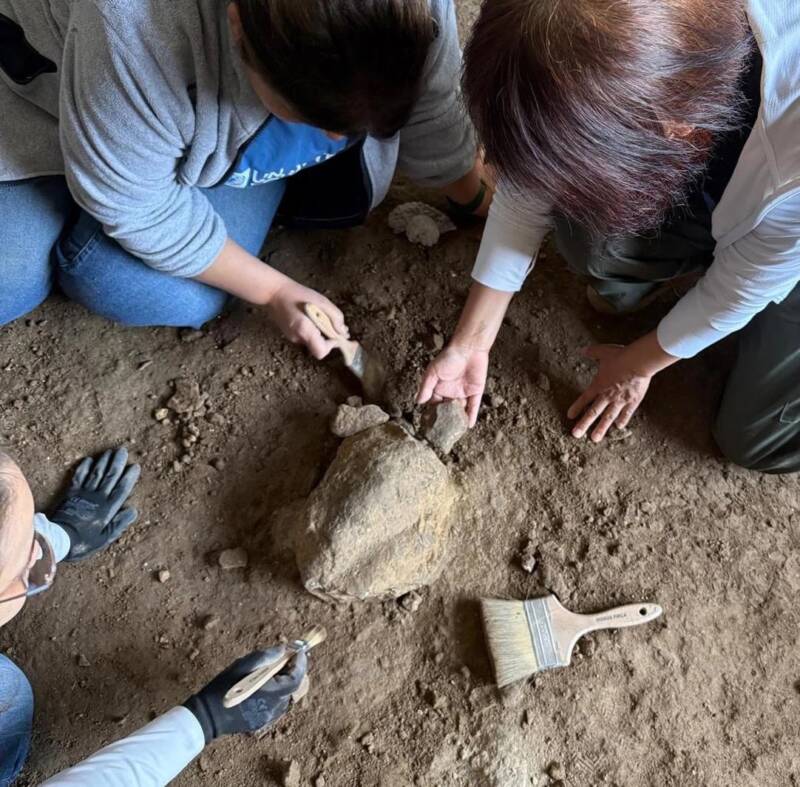 Prehistoric Turtle Figurine Found In Turkey