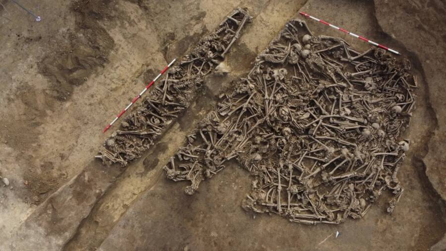 Roman Era Mass Grave In Austria