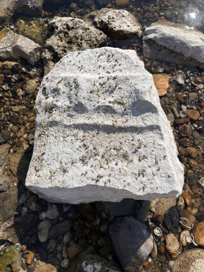 Roman Tablets Found In Hungary