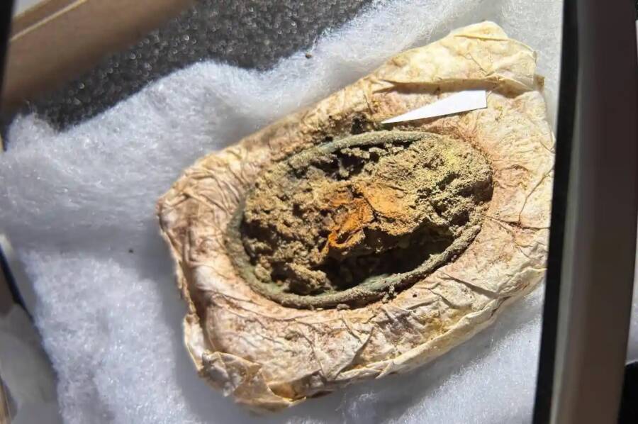 Viking Girl Grave Found In Denmark