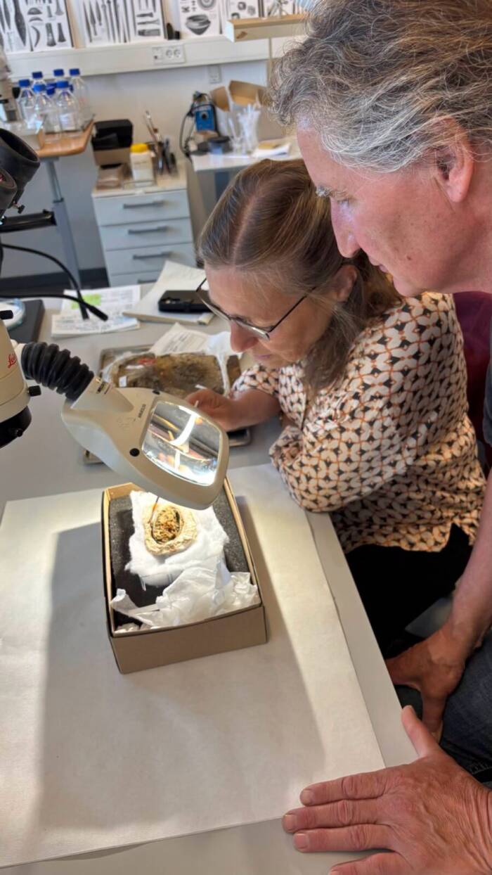 Young Viking Girl Buried In Denmark