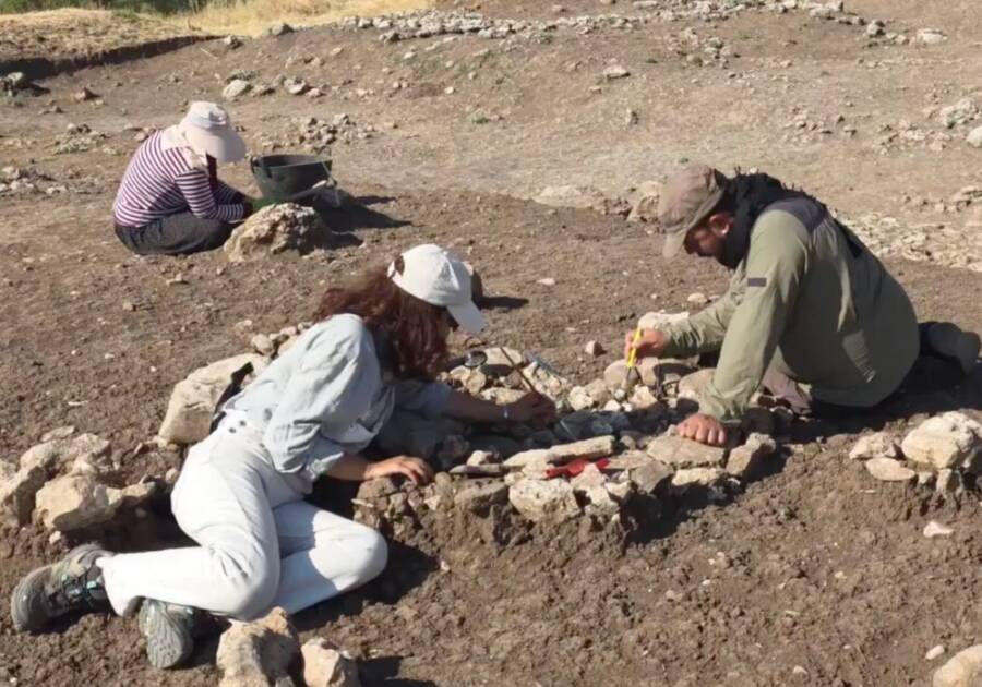 Archaeologists At Cayonu