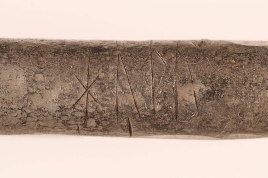 Viking Silver Found In Rebild Denmark