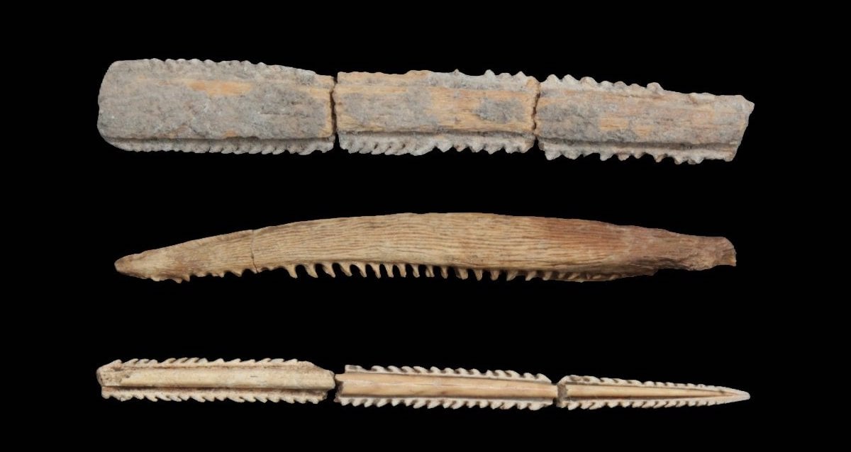 Archaeologists Unearthed Stingray Barbs In Southern Mexico That The Maya Likely Used To Draw Blood During Ancient Rituals
