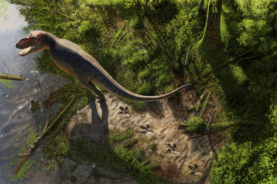 First T Rex Footprint Path Discovered