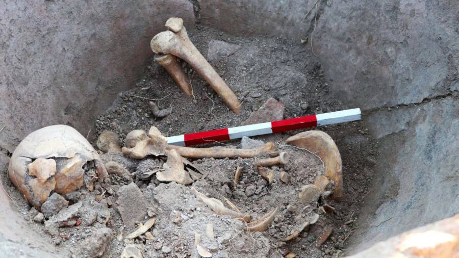 Skeleton Inside Giant Roman Jar