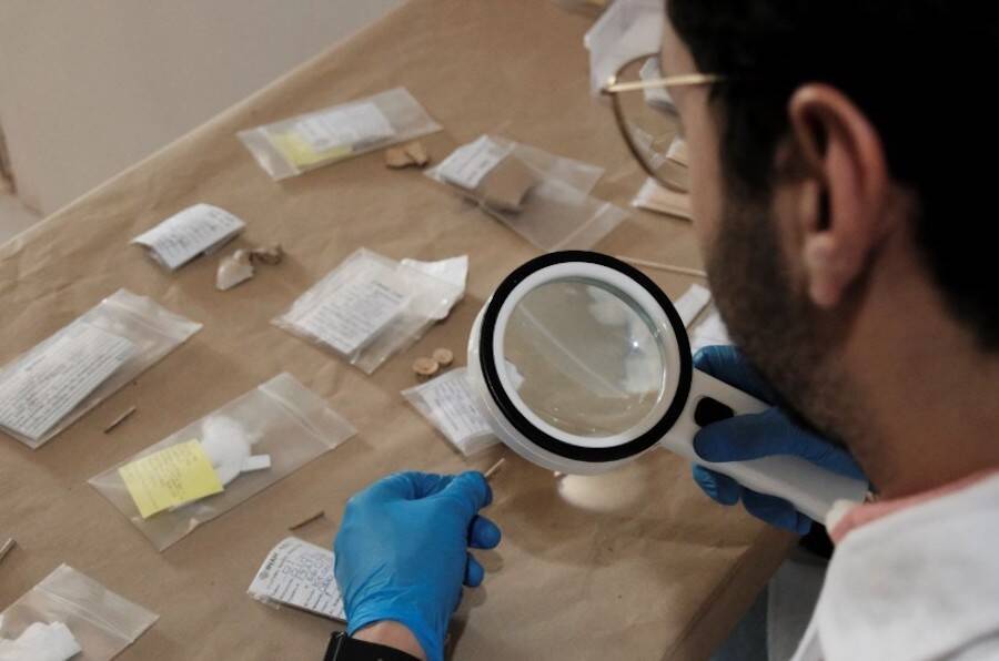 Ancient Stingray Barbs Found In Mexico