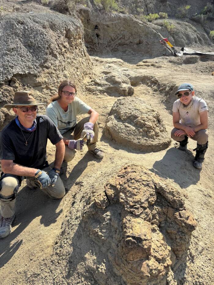 T Rex Footprints In North Dakota